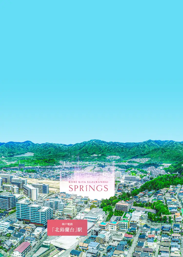 現地周辺航空写真